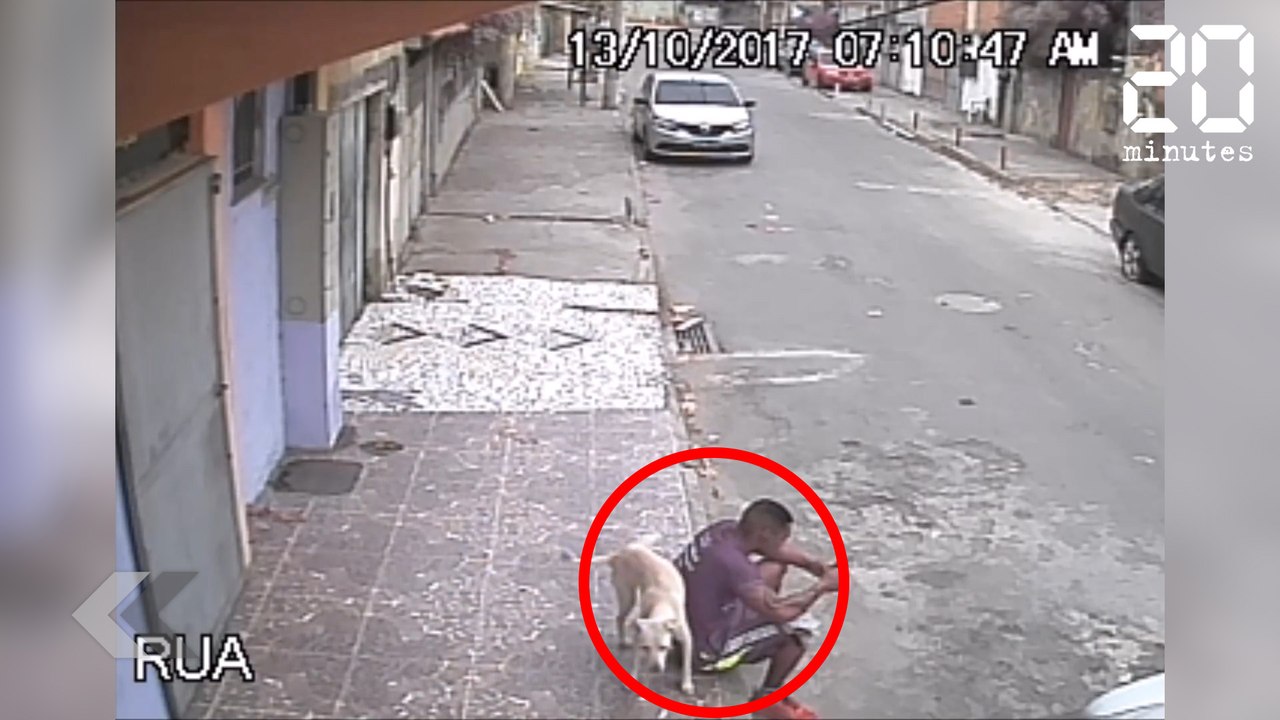 Il se fait uriner dessus par un chien - Le Rewind du mercredi 17 octobre 2017