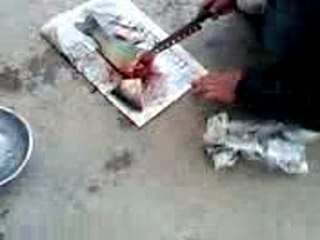 バスをさばいてみた