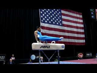 Raj Bhavsar - Pommel Horse - 2008 Visa Championships - Men - Day 2