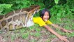 Wow! My Little Girl Catch 4 Big Snakes Using Water Pipe Trap