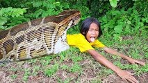 Wow! My Little Girl Catch 4 Big Snakes Using Water Pipe Trap