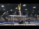 Nathan Tsuji - Parallel Bars - 2017 Winter Cup Prelims