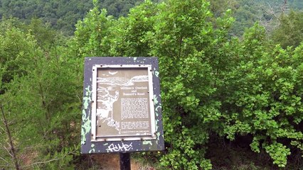 RV Living: I Visit Falls Creek Falls SP in TN, Tallest Waterfall East of the Mississippi