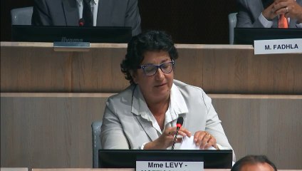 Annie Levy-Mozziconacci intervient sur le PPP et la commercialisation du foncier des écoles