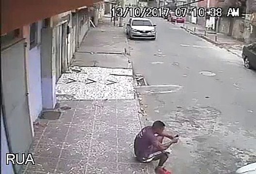 Cão de rua confunde jovem com poste e é adotado depois de um belo xixi