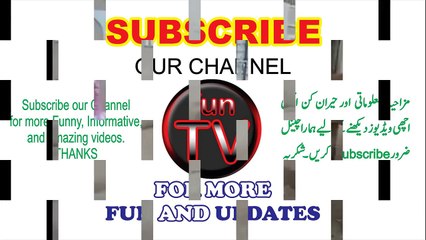 Funny Cow Video - Whatsapp Funny Video - Funny Indian Video - Funny Clip - Funny Cow - Funny Animal