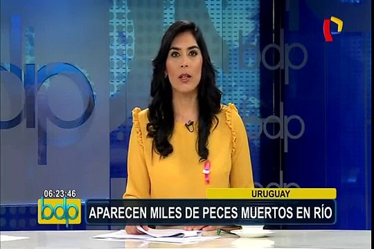 Uruguay: aparecen miles de peces muertos en represa de Palmar