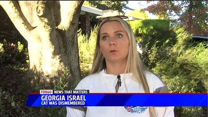 Cat's Dismembered Body Found Scattered Around California Neighborhood