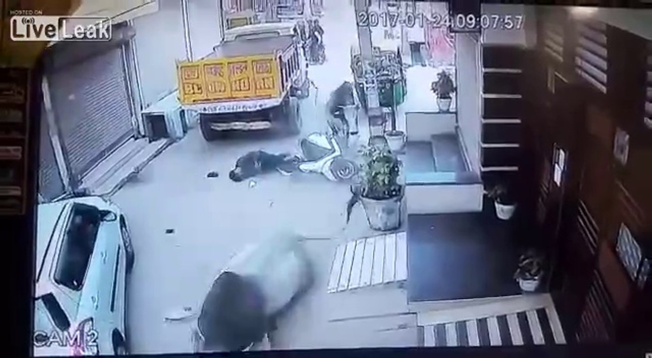 Un scooter emporté par un taureau fou dans les rues en Inde !