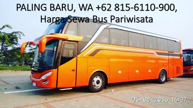 PALING RAMAH, WA +62 815-6110-900, Bus Wisata
