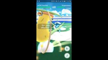 Pokémon GO Gym Battles 2 Gym takeovers Bellsprout Weepinbell Victreebell Vaporeon Golduck & more