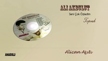 Ali Akbulut - Alican Ağıtı