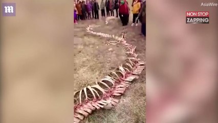 Chine : Des villageois découvrent des ossements qui ressemblent à ceux d’un dragon (Vidéo)