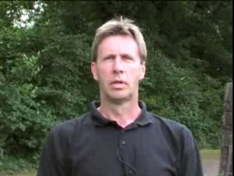 Pferde sicher verladen auf die leichte Art