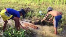 Amazing Fishing - Fishing With Khmer Traditional Fish Trap (Trou) - Bamboo Trap - Primitive Trap