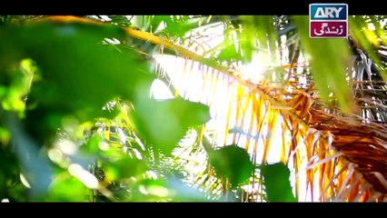 Zakham Episode 10 - on ARY Zindagi in High Quality 17th October 2017