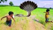 Wow! Poor Asian Kids Catch Very Big Snake While Catching Frogs In Their Rice Fields