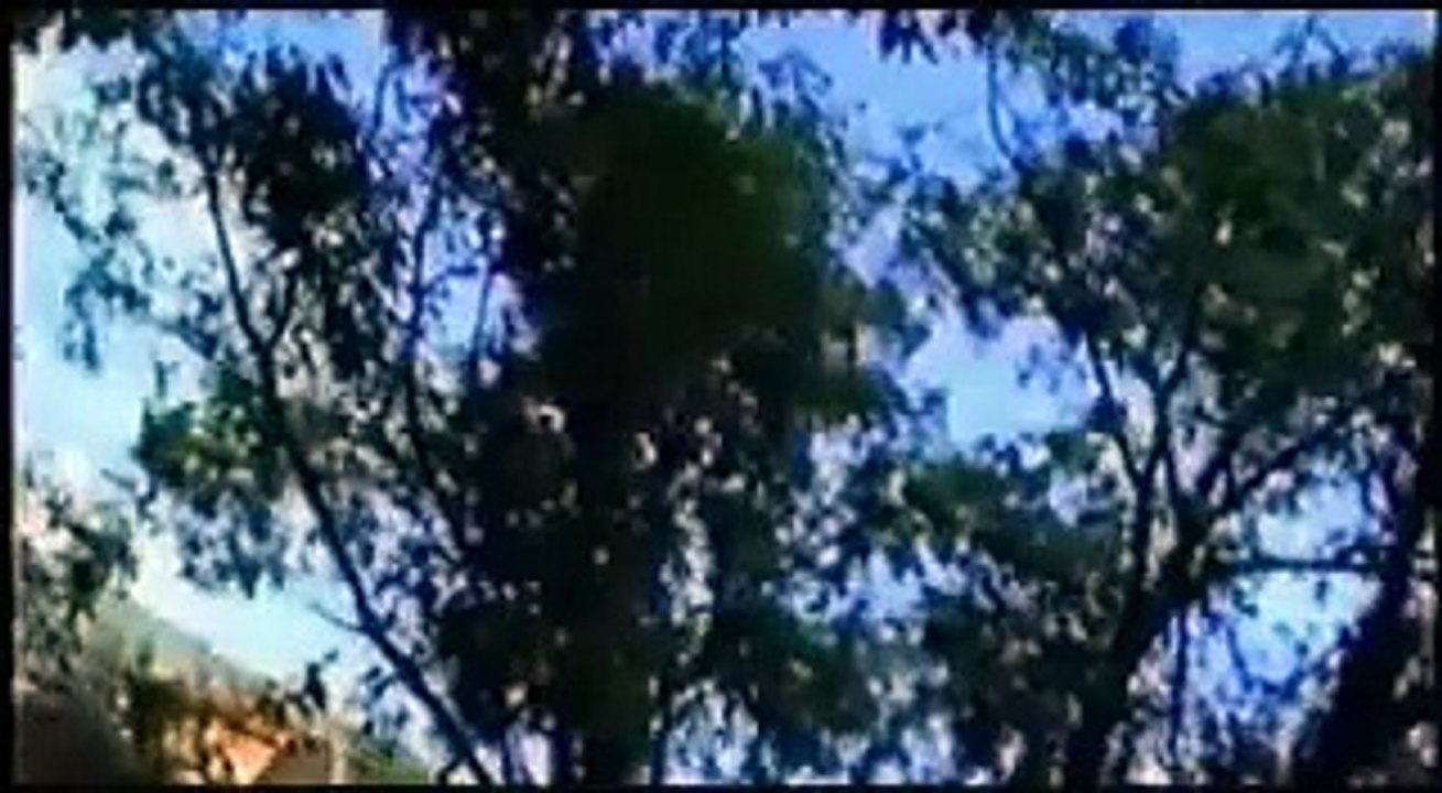 Rifat Tepic - Ja hrabrosti nemam