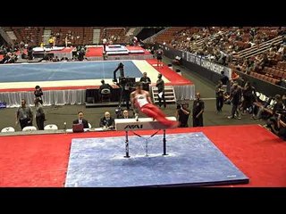 Sean Melton - Pommel Horse - 2017 P&G Championships - Senior Men - Day 1