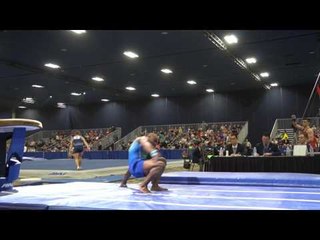 Donnell Whittenburg - Vault - 2017 Winter Cup Prelims