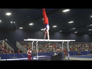 Alexei Vernyi - Parallel Bars - 2017 Winter Cup Prelims