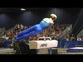 Donothan Bailey - Pommel Horse - 2017 Winter Cup Finals