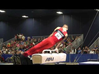 Christopher Stephenson - Pommel Horse - 2017 Winter Cup Finals