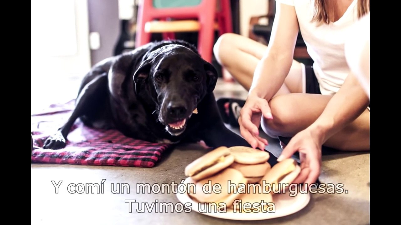 Una gran historia de su perro