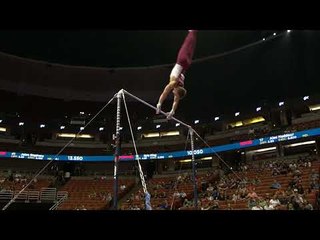 Allan Bower - High Bar - 2017 P&G Championships - Senior Men Day 1