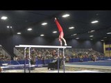 Drew Moling - Parallel Bars - 2017 Winter Cup Prelims