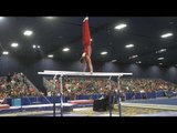 Drew Moling - Parallel Bars - 2017 Winter Cup Finals