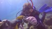 Un plongeur sauve une murène piégée dans un fil de pêche et sur le point de mourir