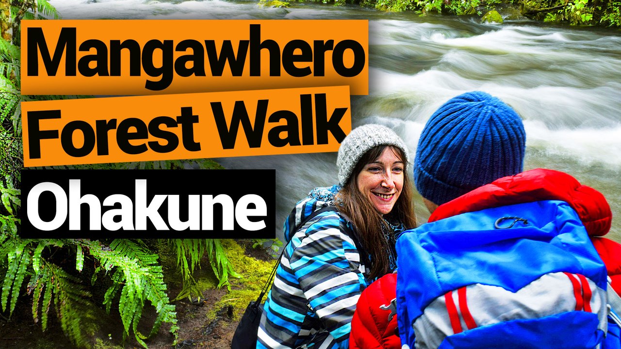 Mangawhero Forest Walk in Ohakune - New Zealand's Biggest Gap Year – Backpacker Guide New Zealand