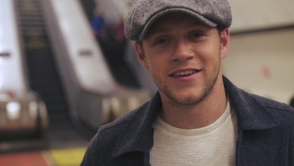 Niall Horan - Too Much To Ask