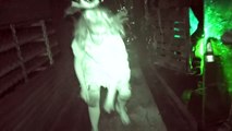 Lullaby: Hush Hush Dont Cry with Night Vision – Queen Mary Dark Harbor 2016 Queen Mary