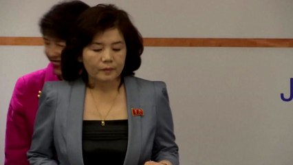 北 최선희 국장, 미국 전직 관리들과 1.5트랙 대화 / YTN