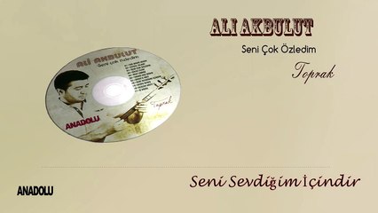 Ali Akbulut - Seni Sevdiğim İçindir