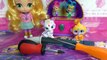 SHIMMER AND SHINE TOYS SURPRISES 3 WISHES VIDEO #2! SHIMMER & SHINE TOYS ,FIDGET SPINNERS