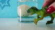 Nacimiento de dinosaurio de juguete | Huevo dinosaurio de juguete | Vídeos de dinosaurios para niños