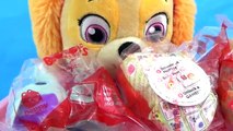Best Learn Colors Video FIDGET SPINNERS Baby Skye PAW PATROL Eats McDonalds Happy Meal Toys