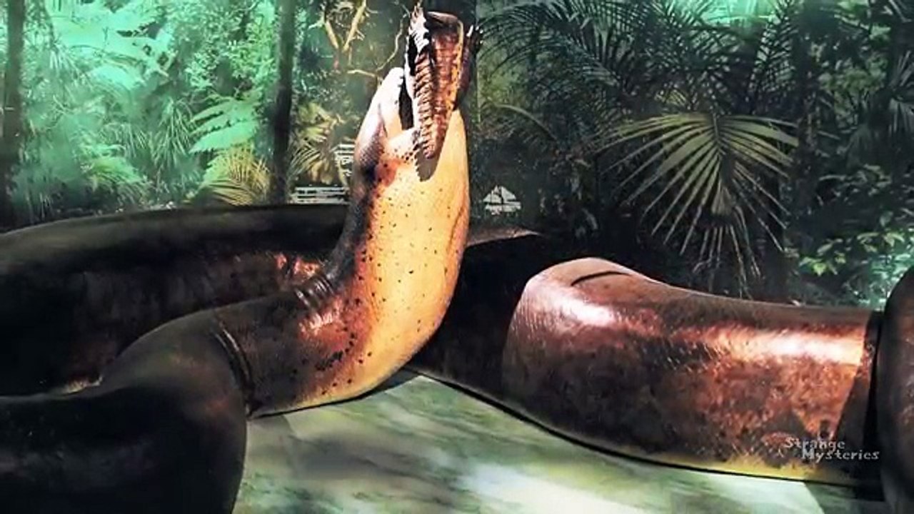 BIGGEST Snake EVER (195 Ft.) Analyzed & Confirmed