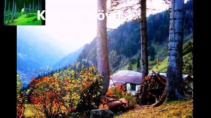 Araklı Kayaiçi Köyü