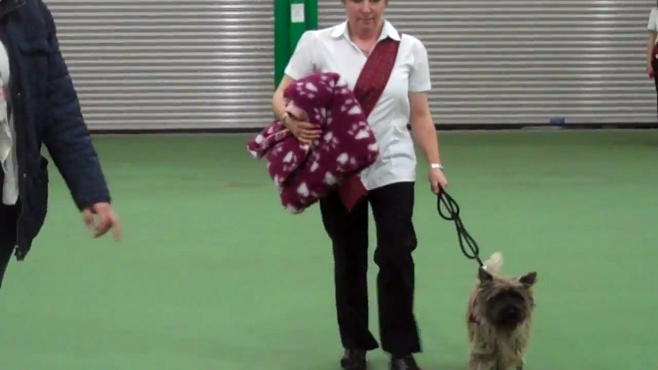 Obreedience Audition 2014 Isla & Oscar-ci1HSa3bi9k
