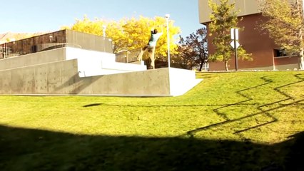 Ronnie Shalvis - Red Bull Art of Motion Audition 2014-aRc60CObMCU