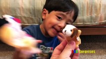 Learn Colors Spelling Smiley Face Emoji Toys Kids Finger Family Song Ryan Toysreview ABC Surprises