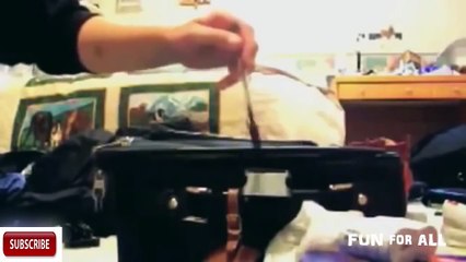 Cat Fails & Funny moments compilation with added sound effects   Tom & Jerry music-6itHgVnLeoo