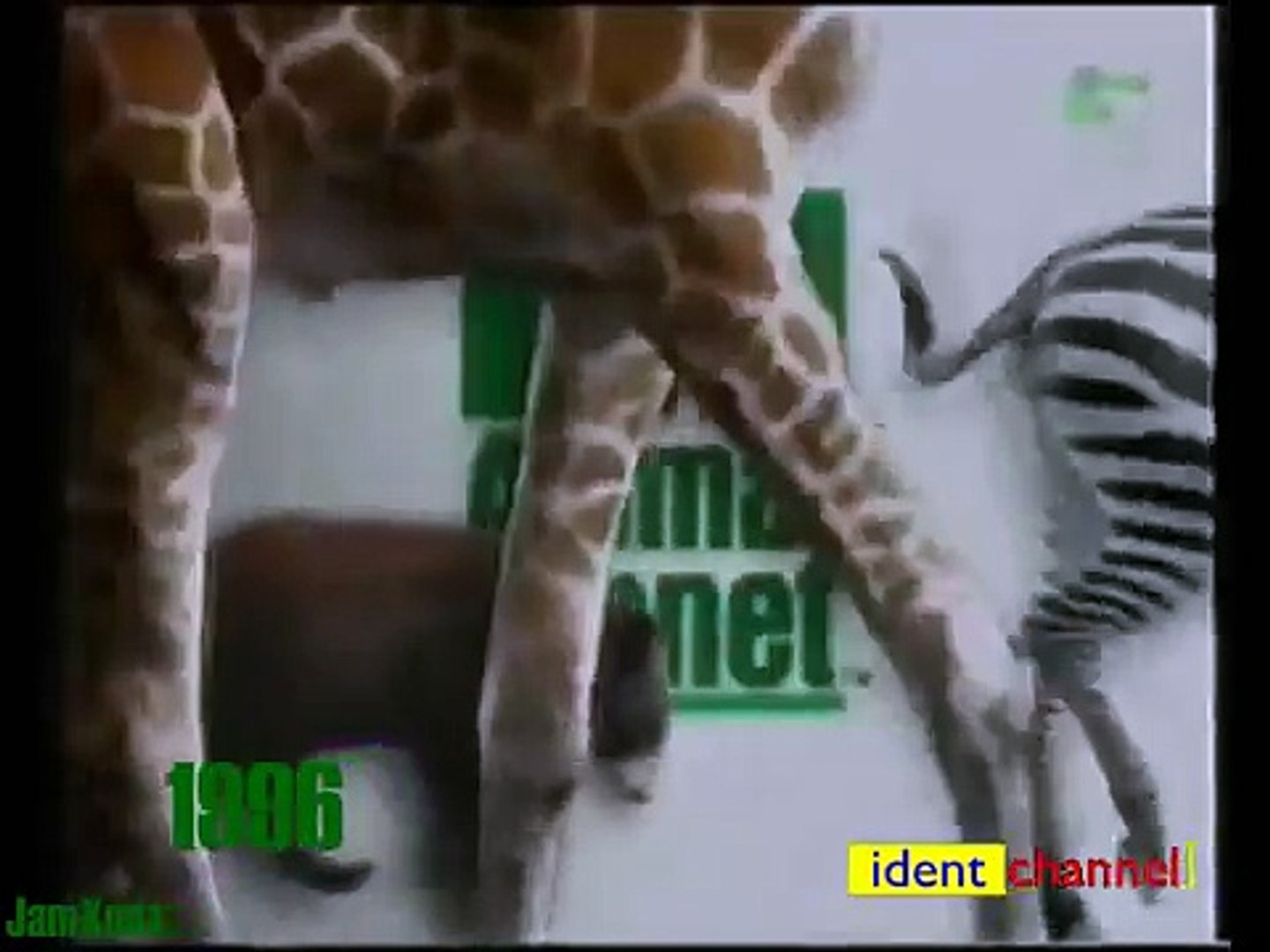 ⁣Animal Planet 1996 - 2008--EPDieqZwr0