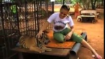 2013 Tourists play with animals at Thailand's Tiger Temple-U4of2LahM7c