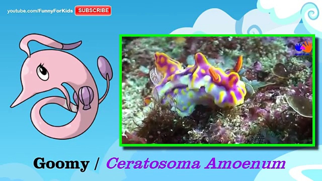 Learn Animals with Pokemon GO Catch In REAL LIFE | Handplaytv learn name Animals for kids