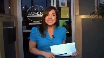 funny videos 2016 Best Funny Cat Fails & Falls  Videos watsapp USA-0pQcw4OM6tk